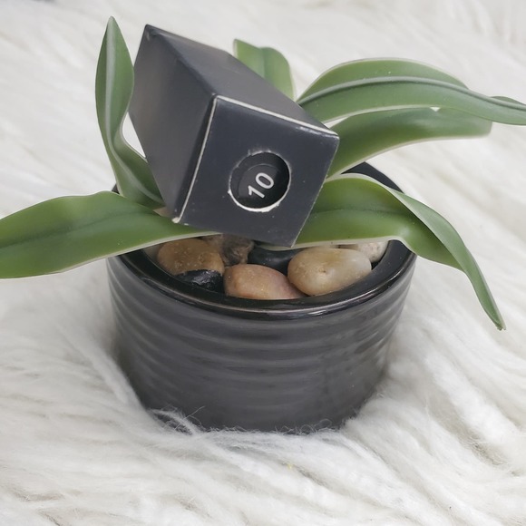 TASH Cosmetics Matte Tube Lipstick #10 - Picture 2 of 3